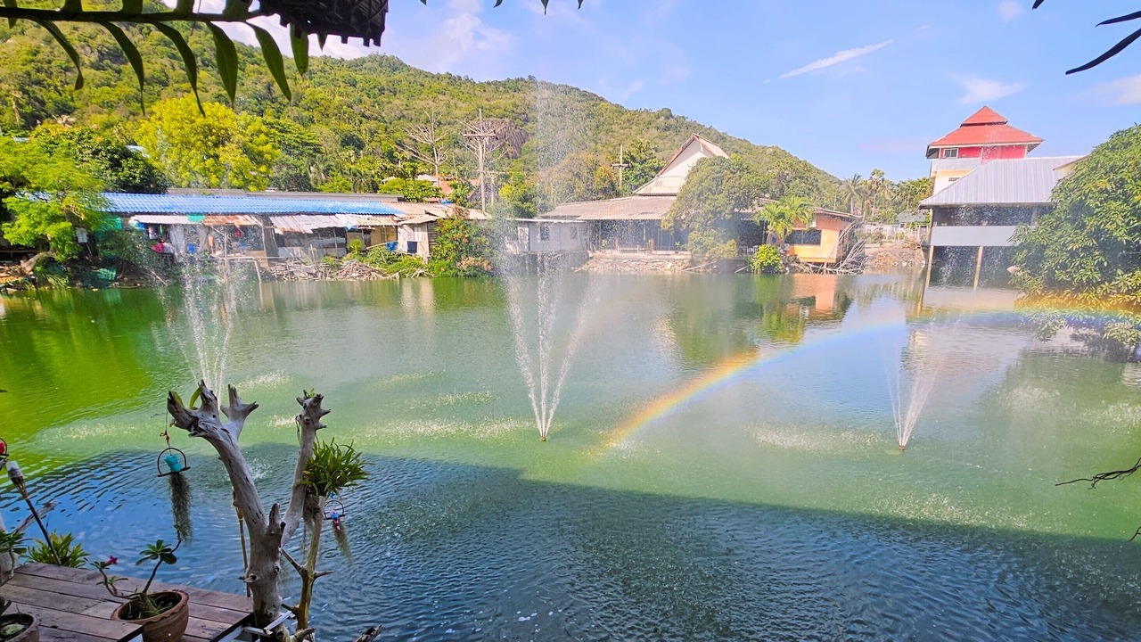 Photo of Outdoor in Haad Rin