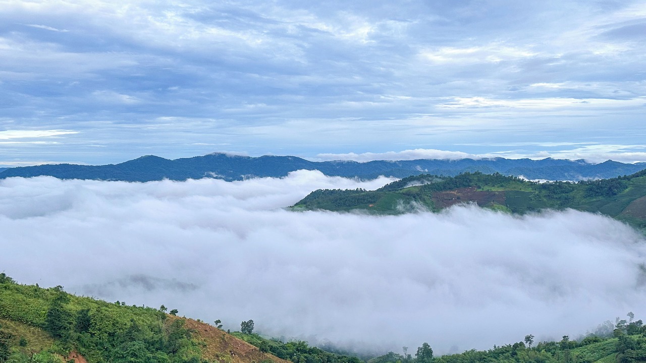 Photo of Others in Mae Suai
