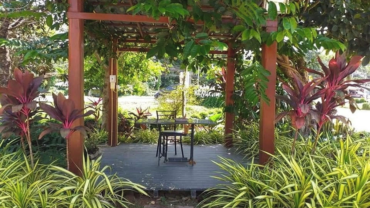 Photo of Outdoor in Phrae