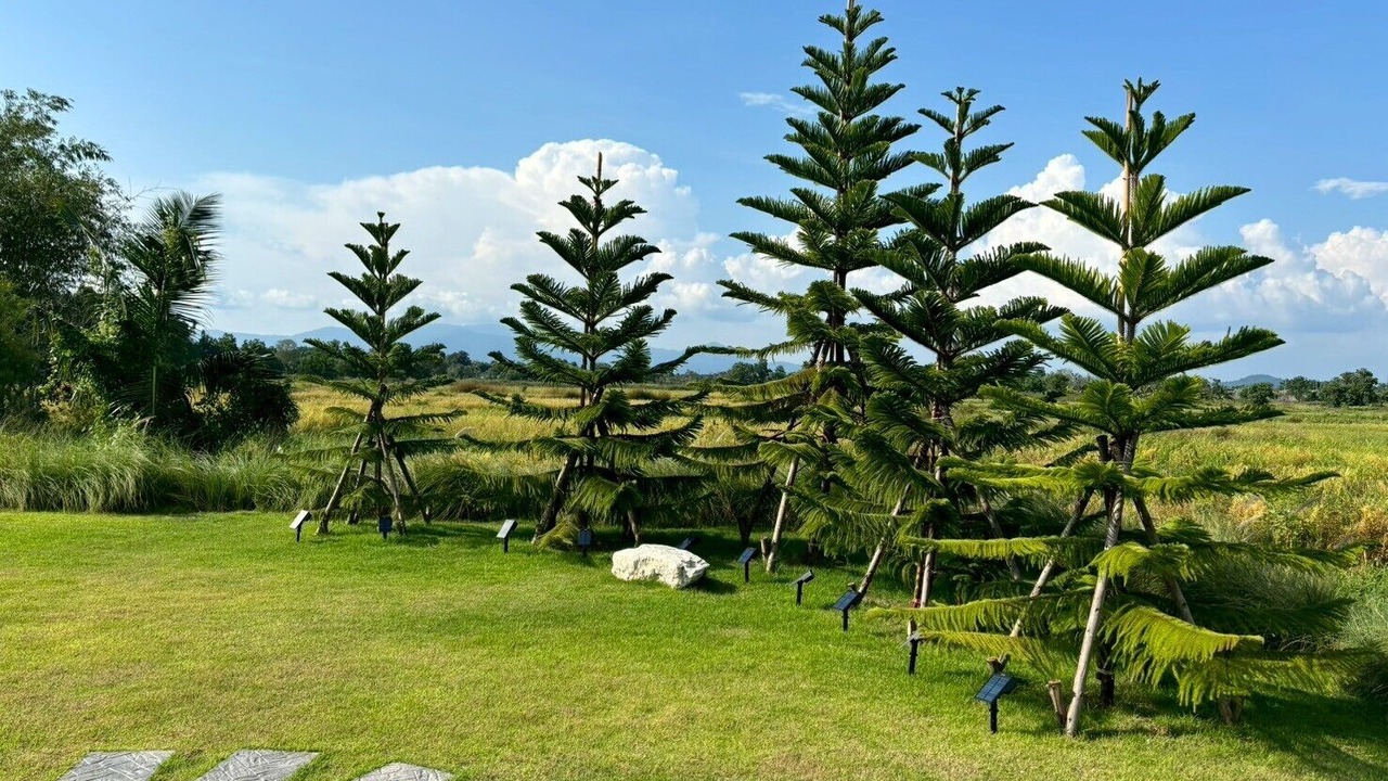 Photo of Others in Khlung