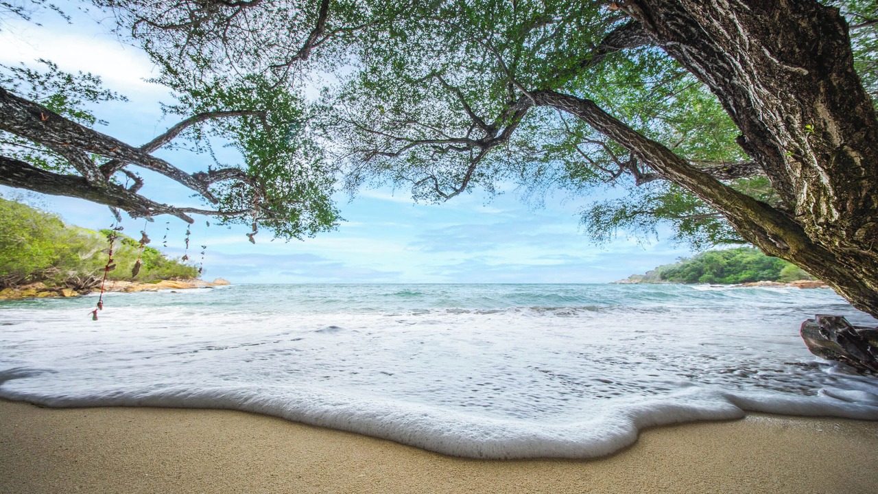 Photo of Others in Rayong