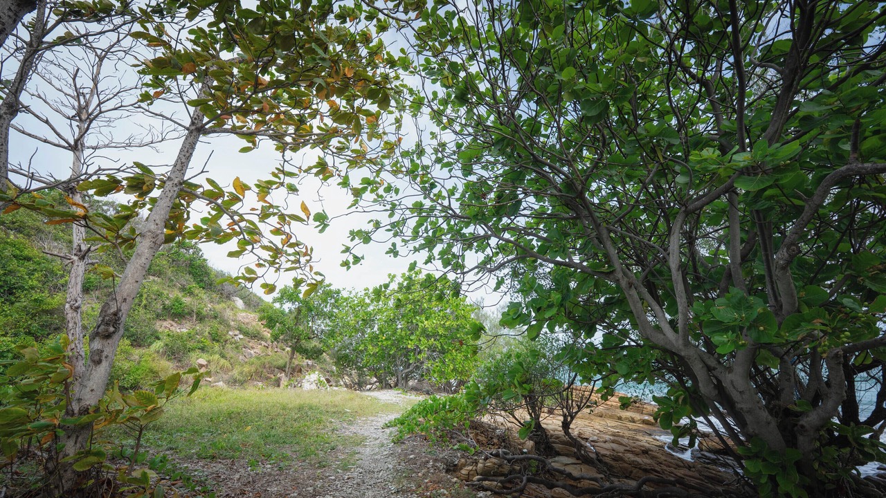 Photo of Outdoor in Rayong