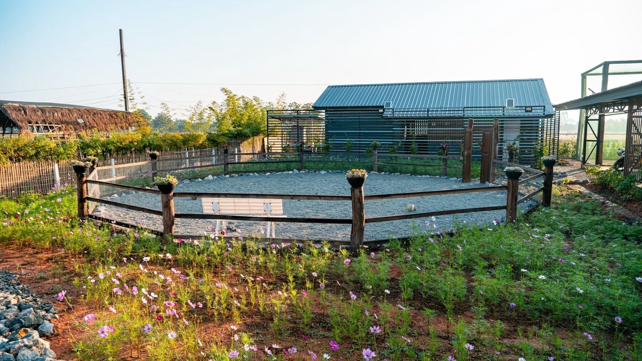 Photo of Outdoor in Chiang Rai