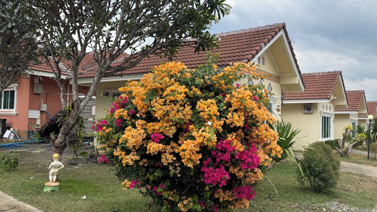 Photo of Outdoor in Soi Dao
