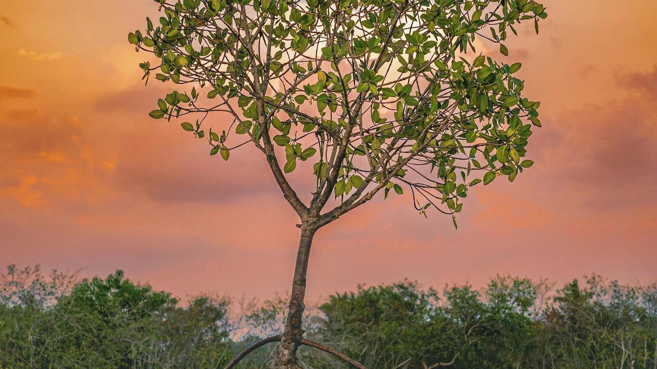 Photo of Outdoor in Ko Lanta