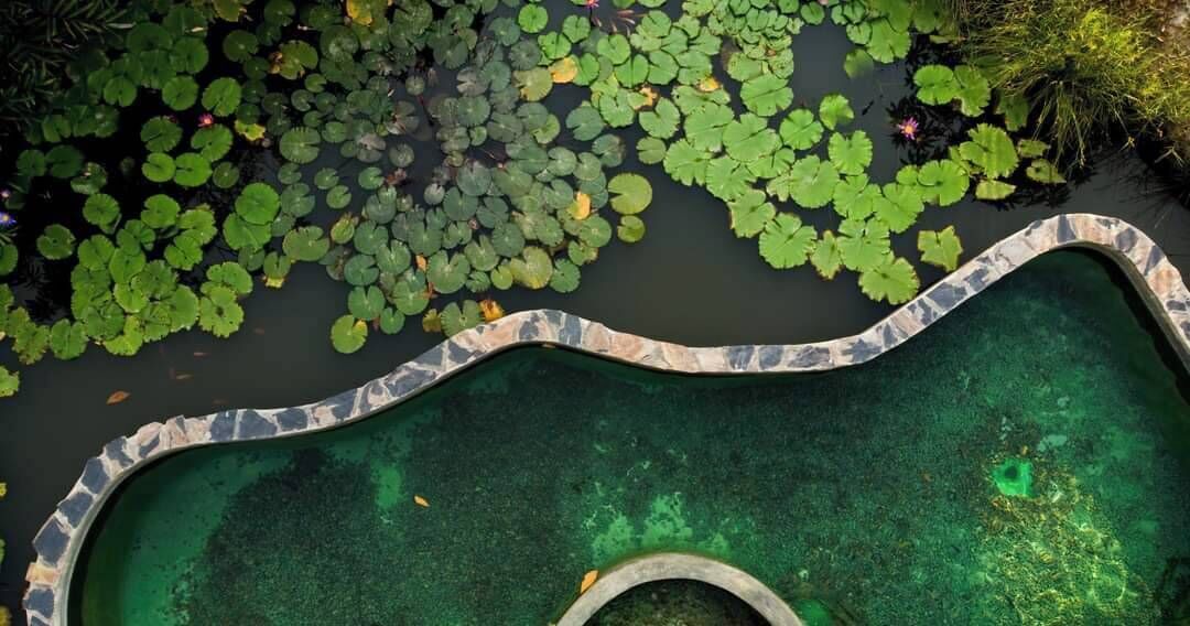 Photo of Others in Khlong Khuean