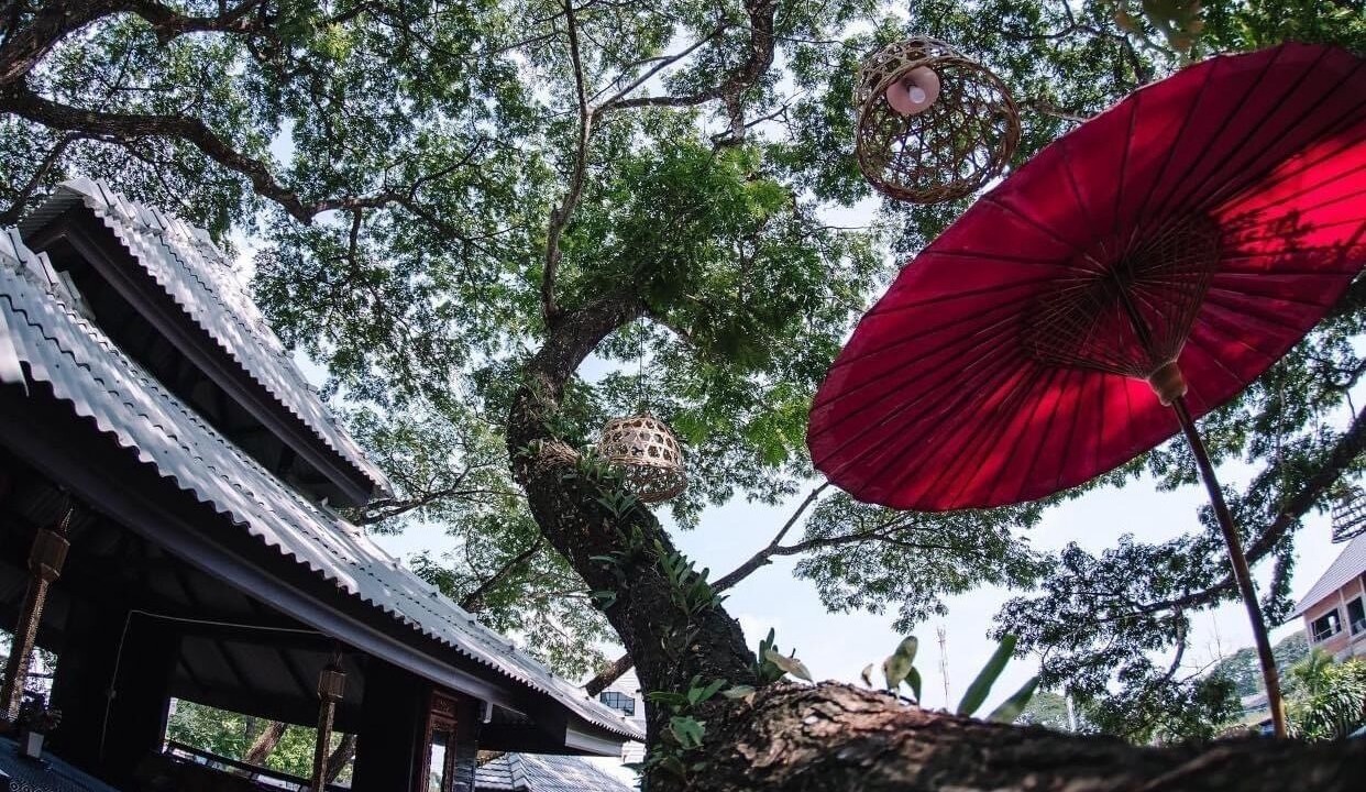 Photo of Outdoor in Chiang Rai