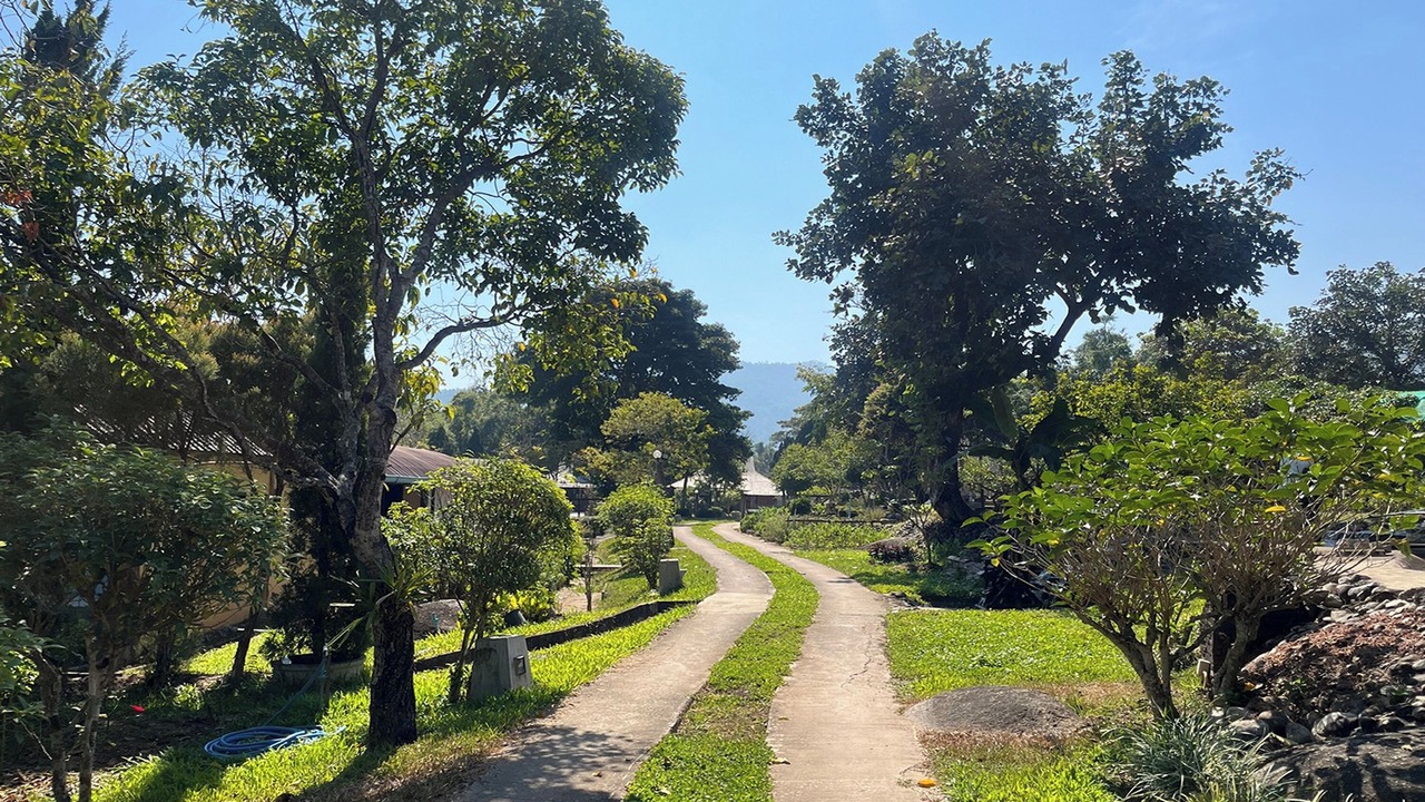 Photo of Outdoor in Mae Taeng