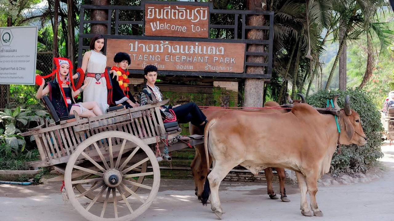 Photo of Others in Mae Taeng