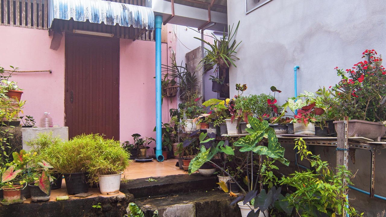 Photo of Outdoor in Ban Luang