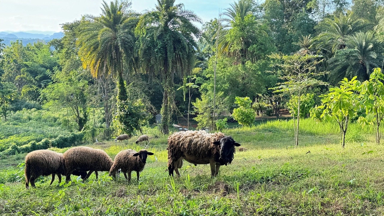 Photo of Outdoor in Thong Pha Phum