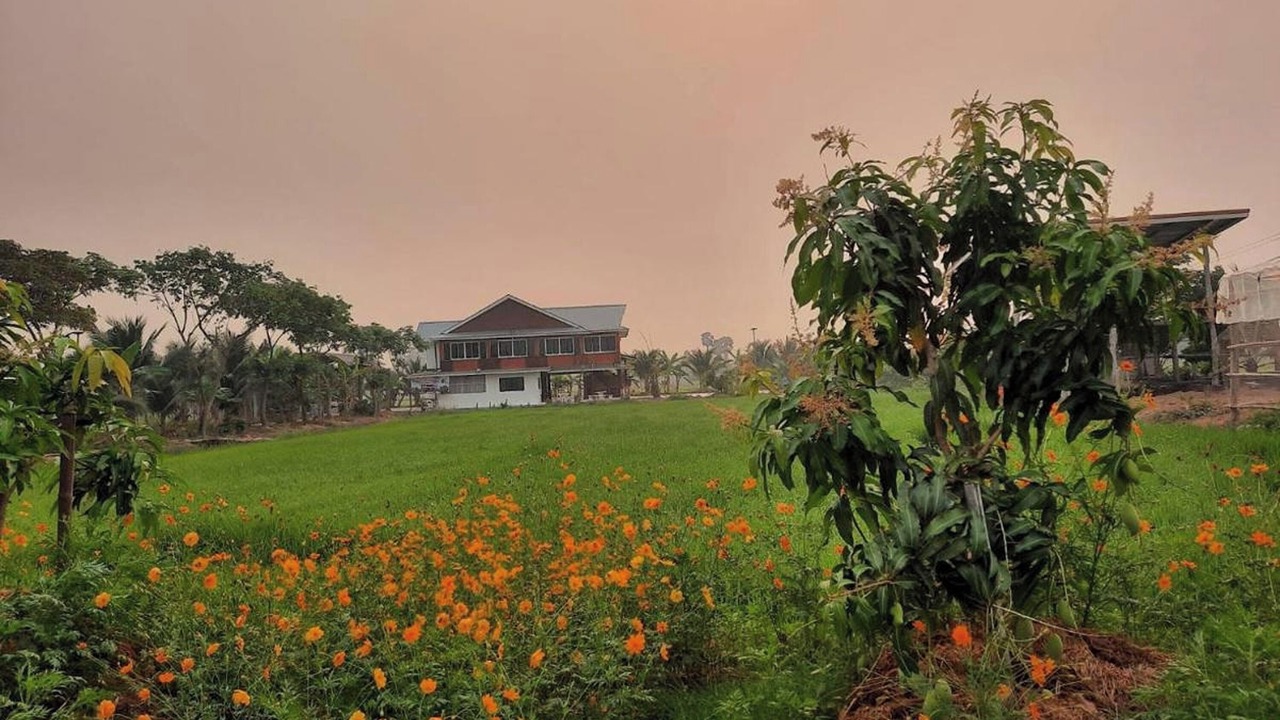 Photo of Outdoor in Lampang