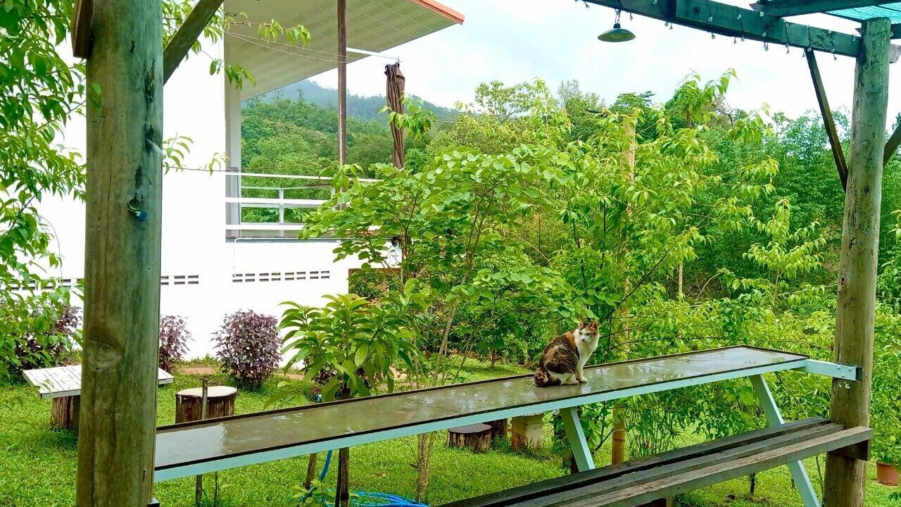 Photo of Livingroom in Pangmapha