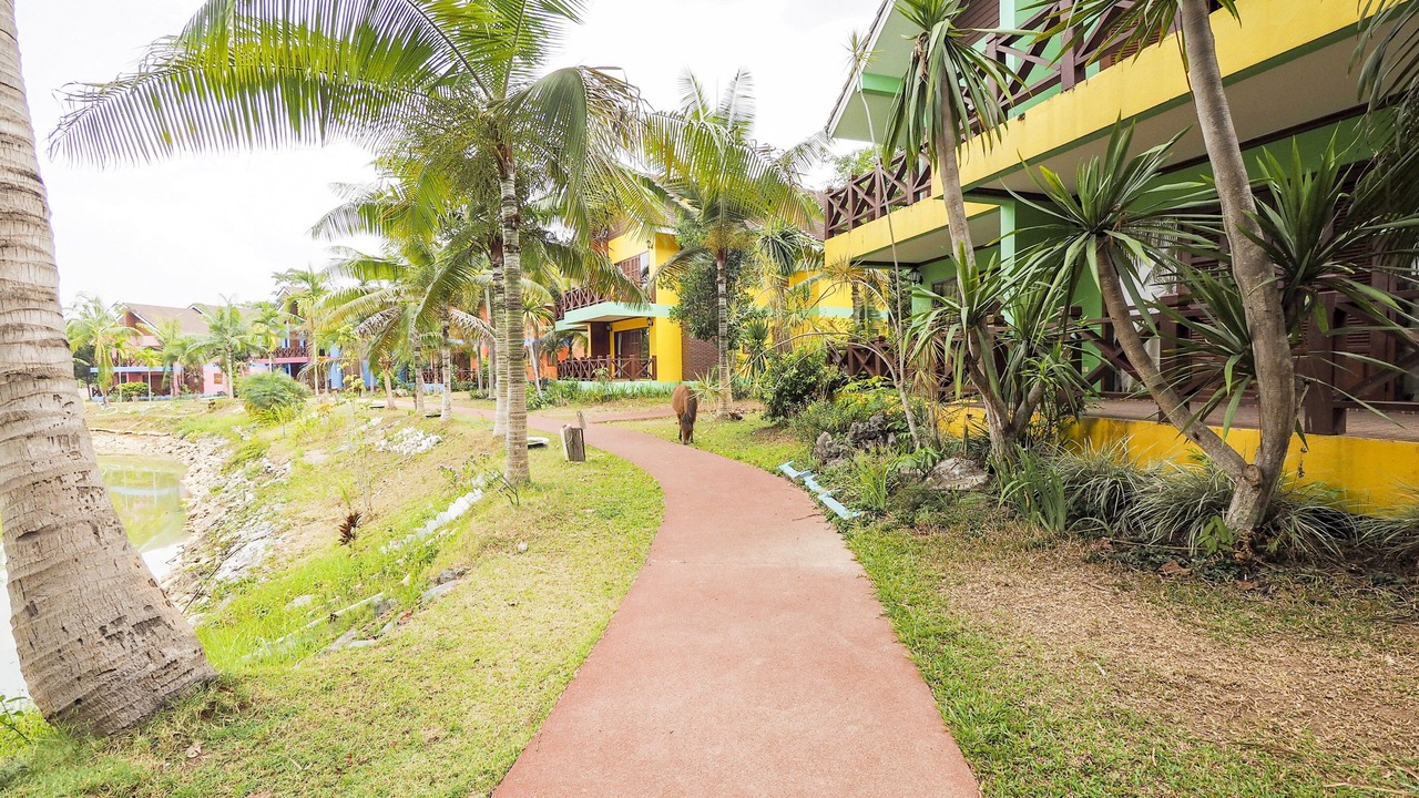 Photo of Outdoor in Chiang Rai
