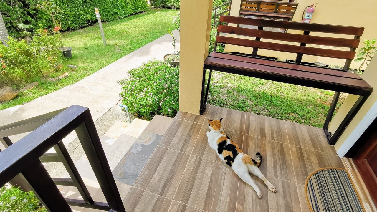 Photo of Outdoor in Ko Lanta