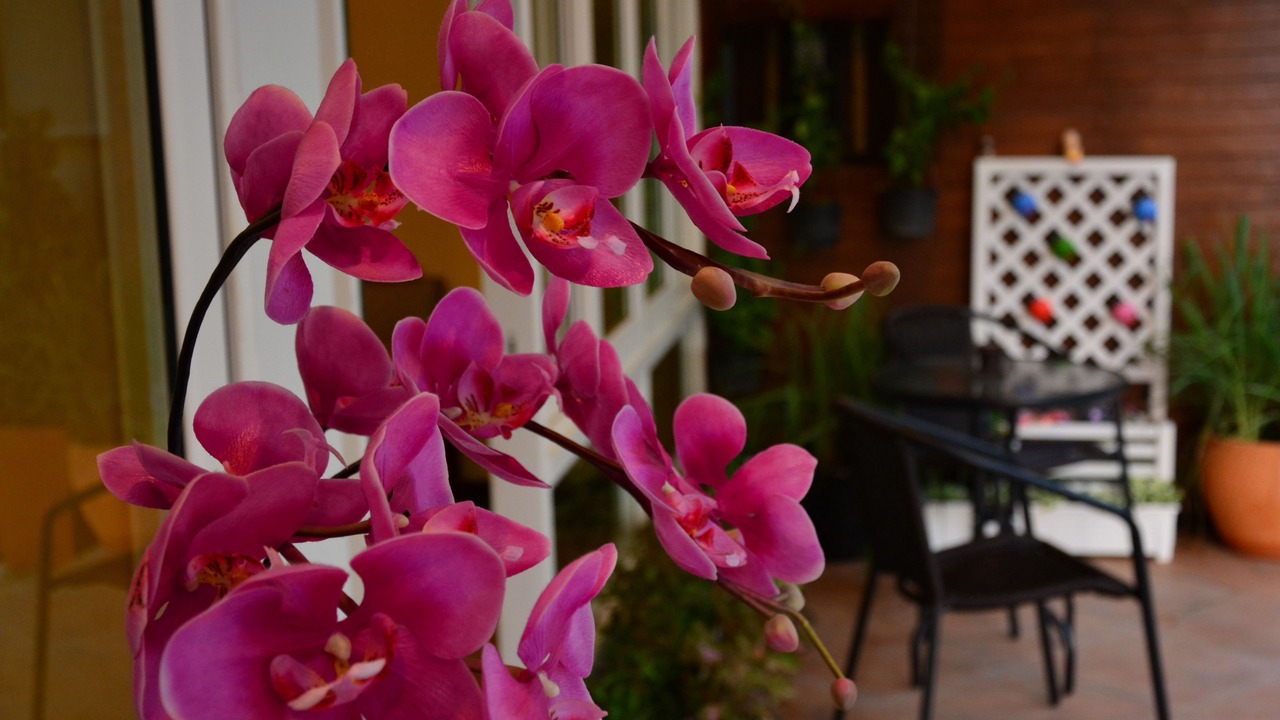 Photo of Patio Balcony in Pattaya Bay