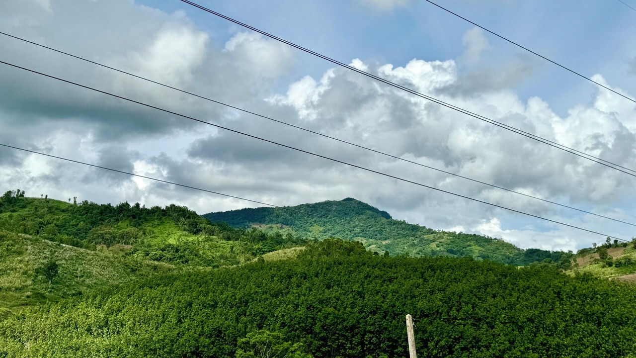 Photo of Others in Khao Kho