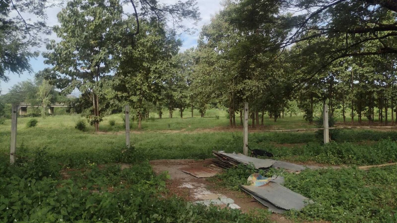 Photo of Outdoor in Tha Sai Luat