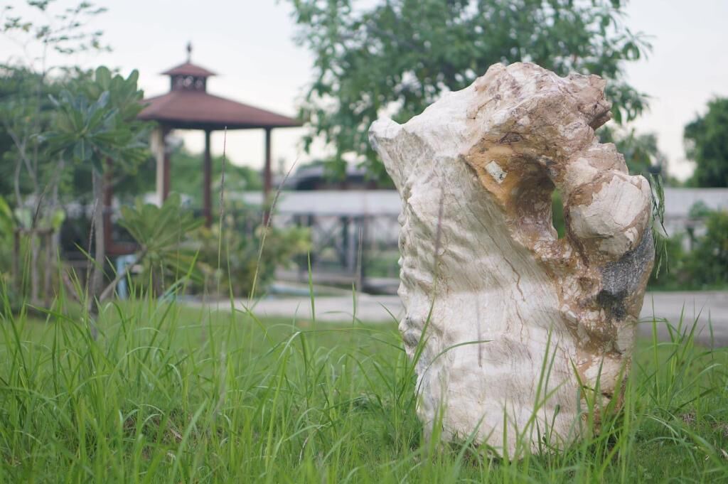 Photo of Outdoor in Bang Kruai