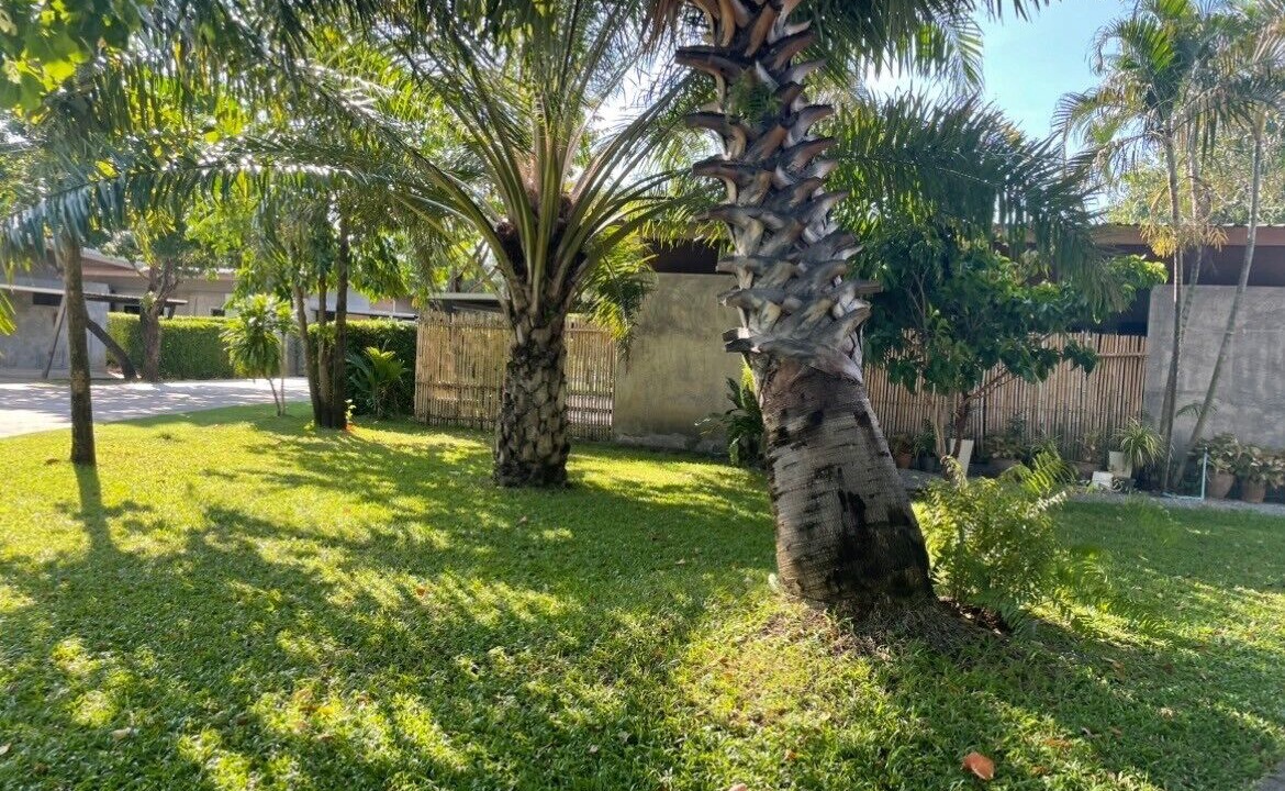 Photo of Outdoor in Manorom