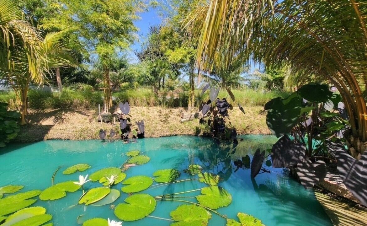 Photo of Outdoor in Manorom