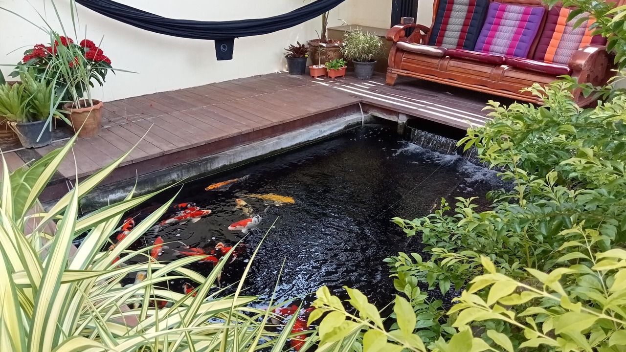 Photo of Outdoor in Ko Lanta