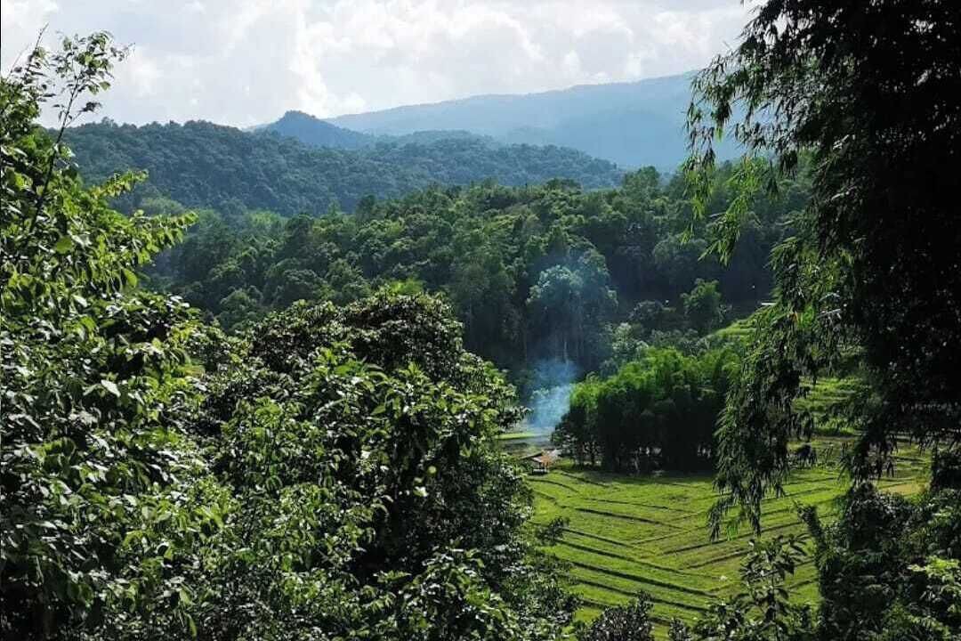Photo of Others in Chom Thong