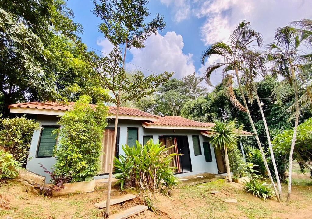 Photo of Outdoor in Song Phi Nong