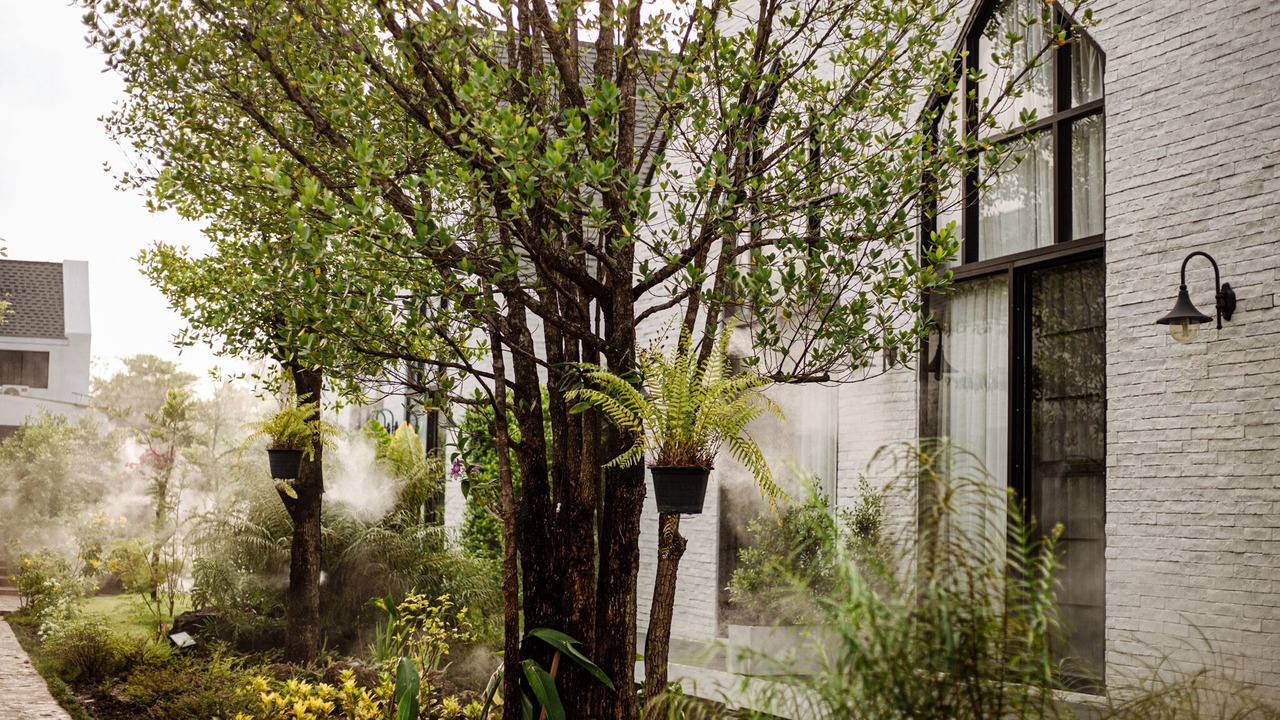 Photo of Outdoor in Mai Ngam