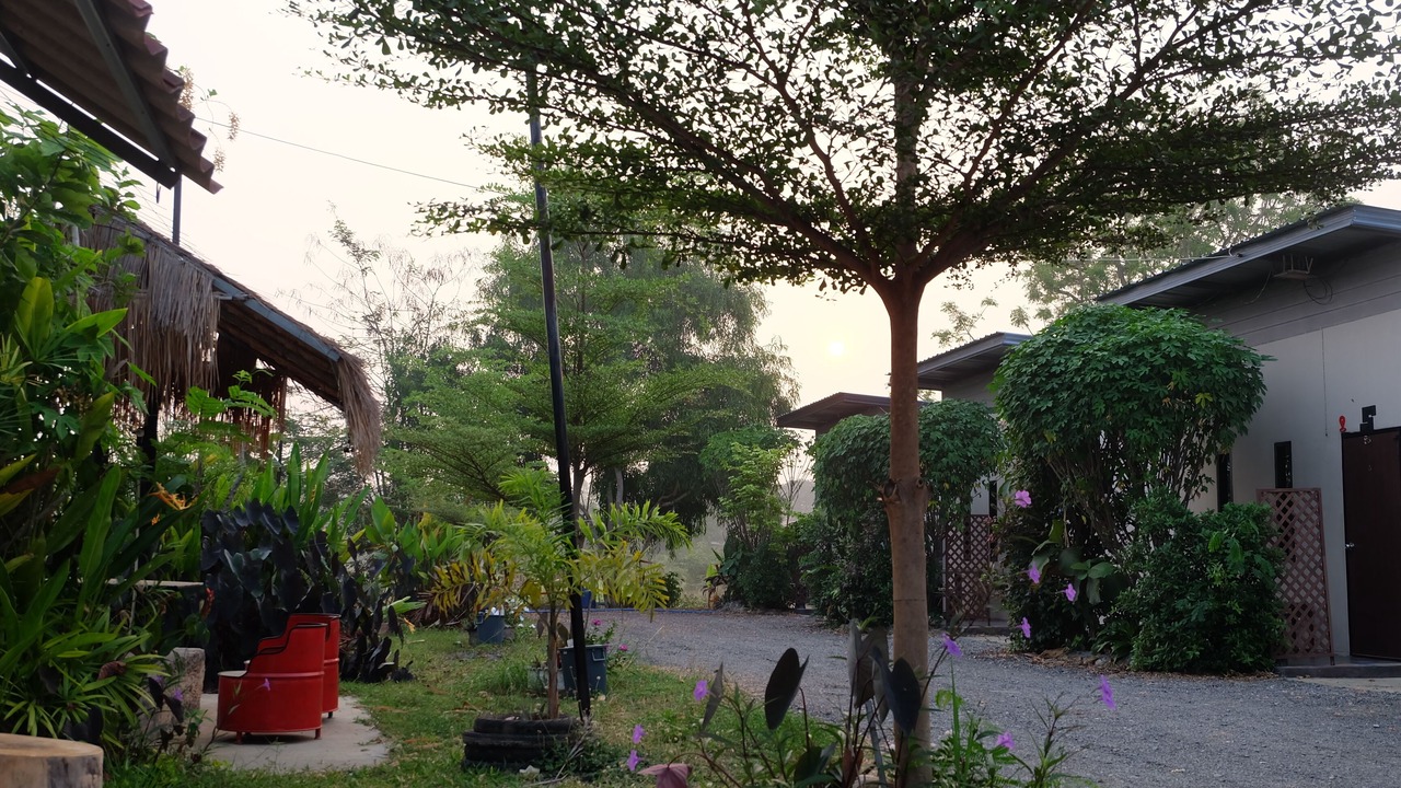 Photo of Outdoor in Chai Nat