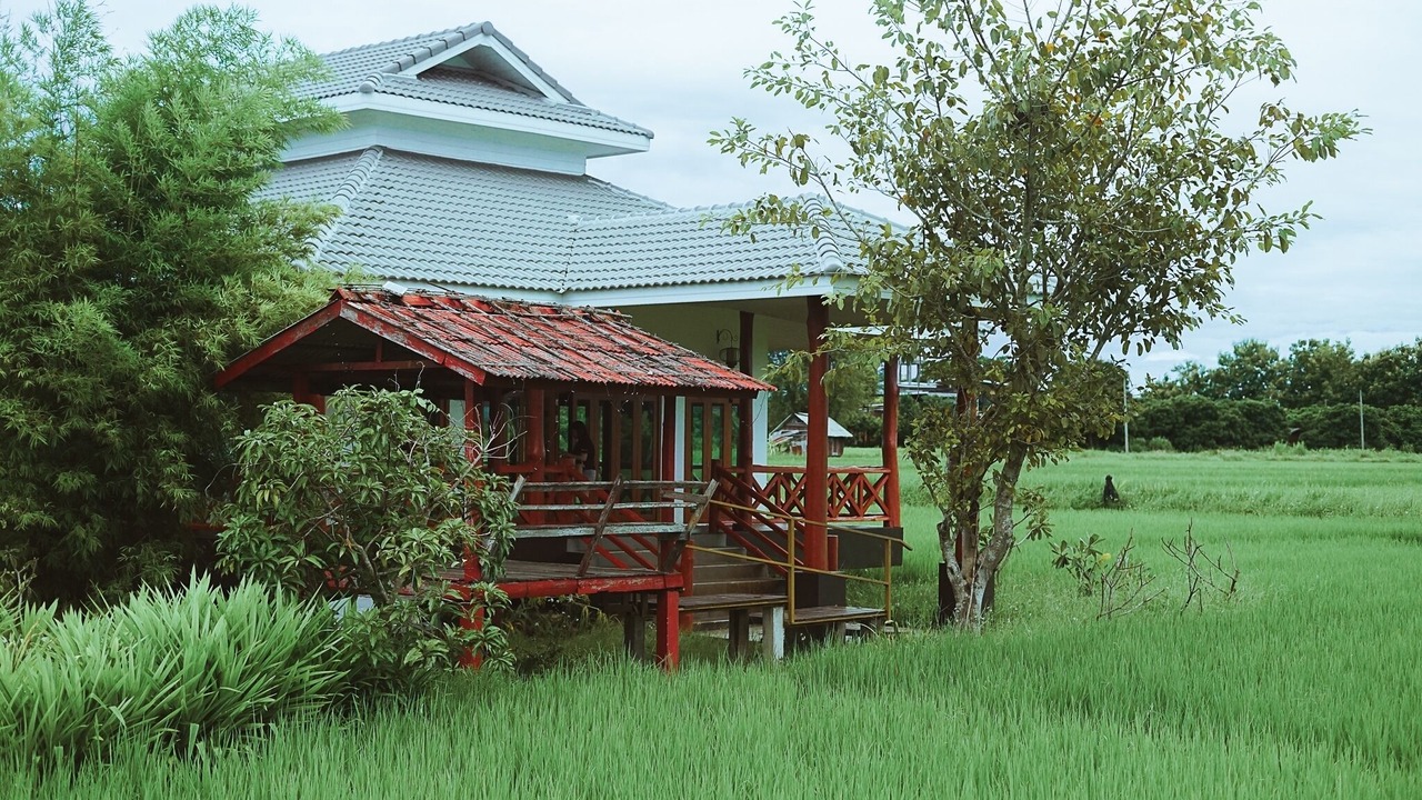 Photo of Others in Yu Wa