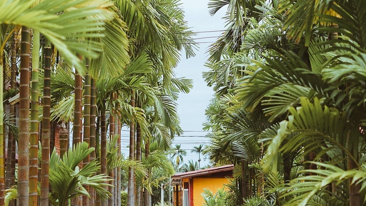 Photo of Outdoor in Yu Wa