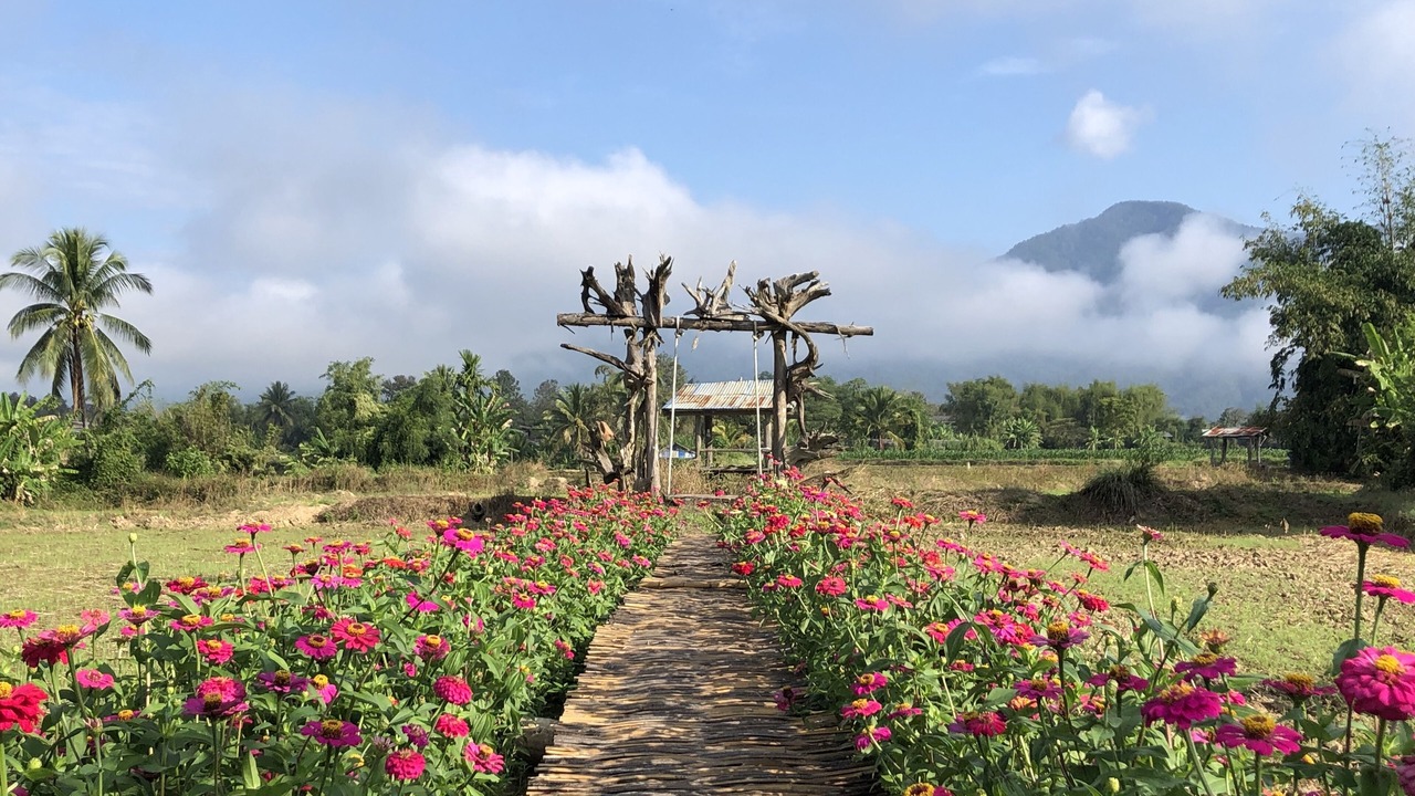Photo of Outdoor in Pua