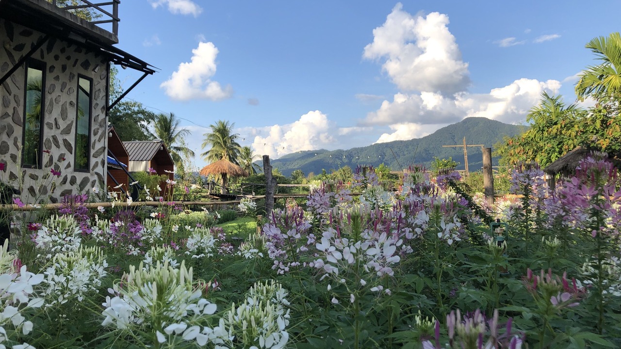 Photo of Outdoor in Pua