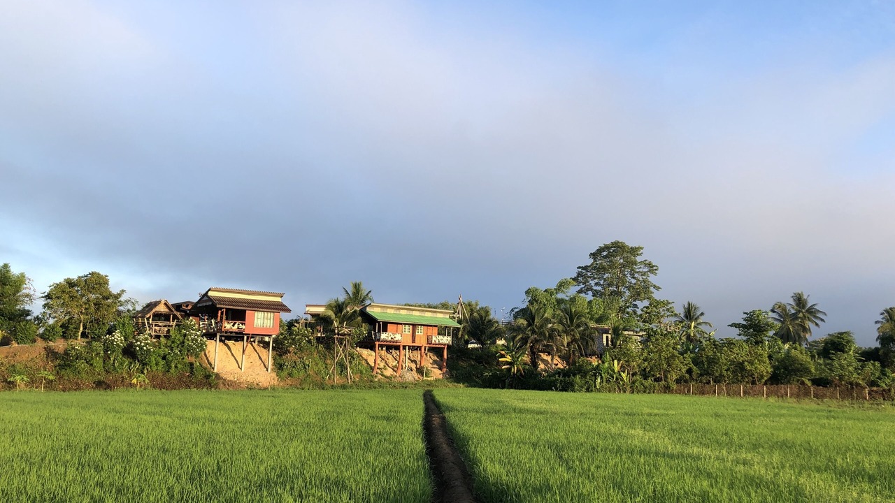 Photo of Outdoor in Pua