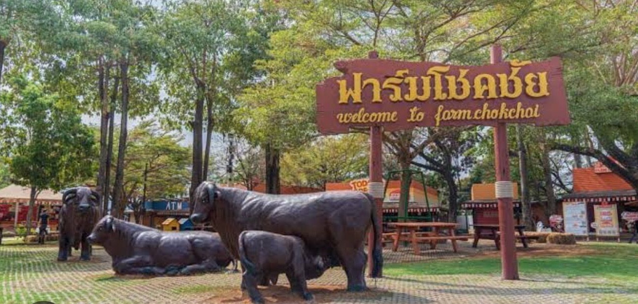 Photo of Others in Nong Nam Daeng
