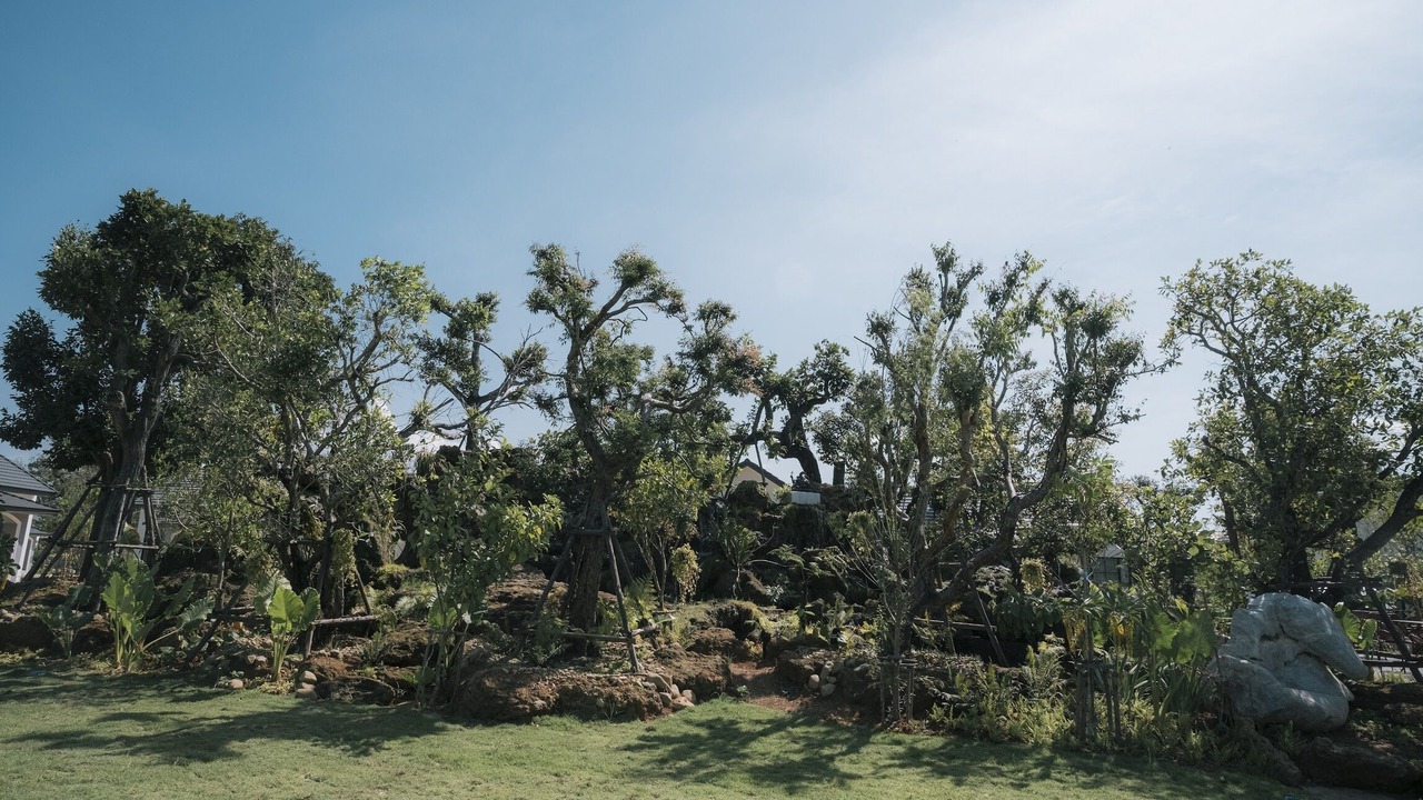 Photo of Outdoor in Trat