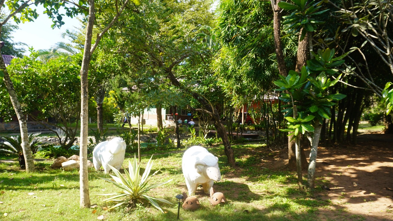 Photo of Outdoor in Suan Phueng