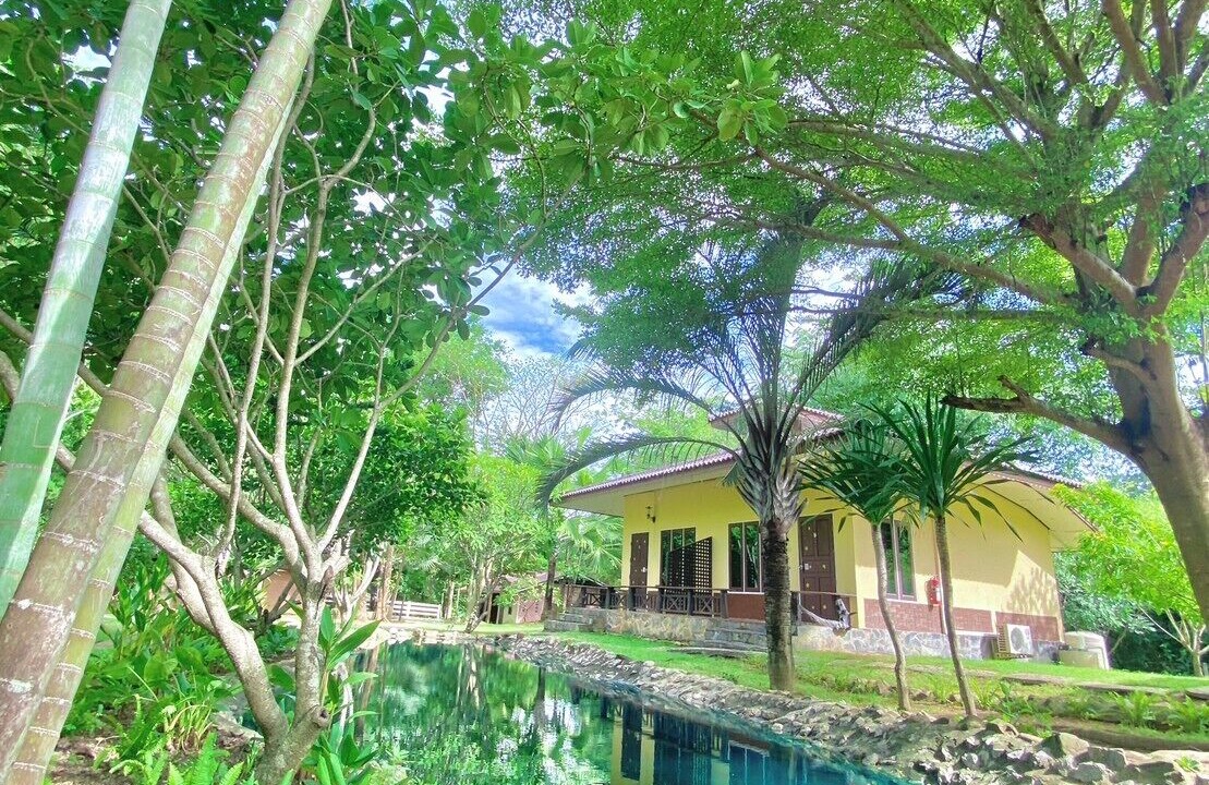 Photo of Outdoor in Suan Phueng