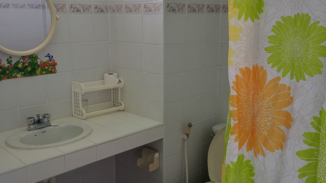 Photo of Bathroom in Nanai Road