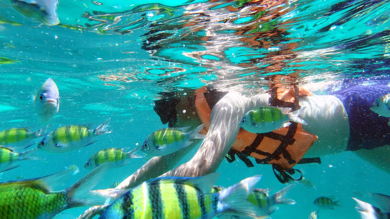 Photo of Others in Ko Phi Phi