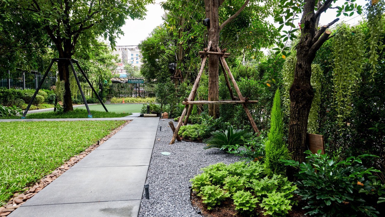 Photo of Outdoor in Thung Song Hong