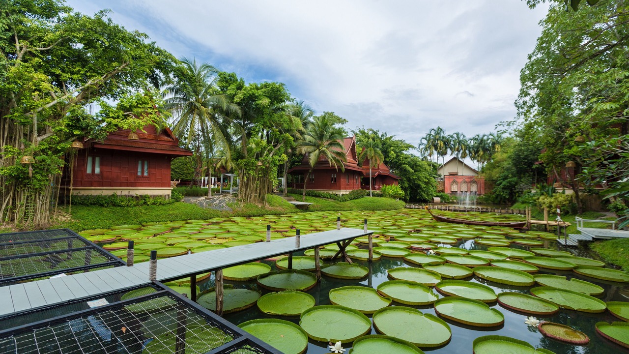 Photo of Outdoor in Bang Tao