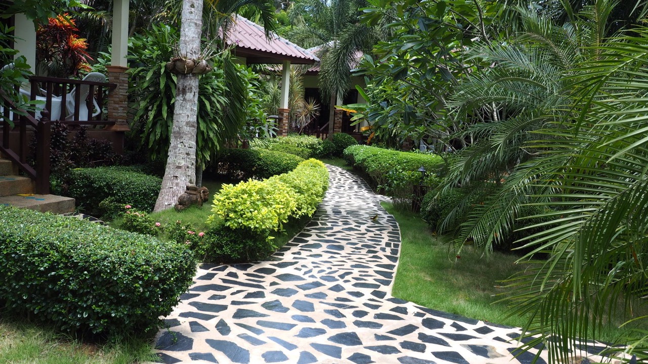 Photo of Outdoor in Bai Lan