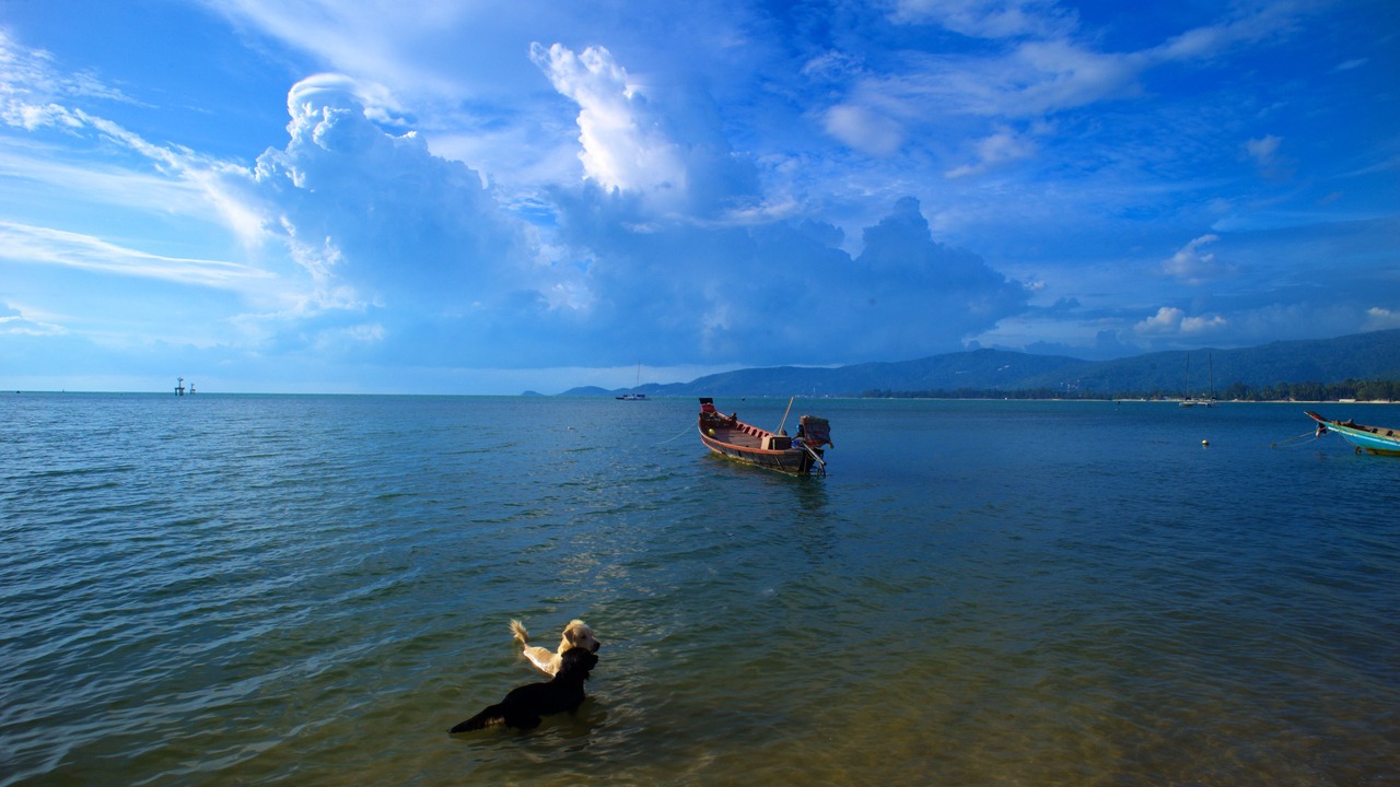 Photo of Outdoor in Lipa Noi