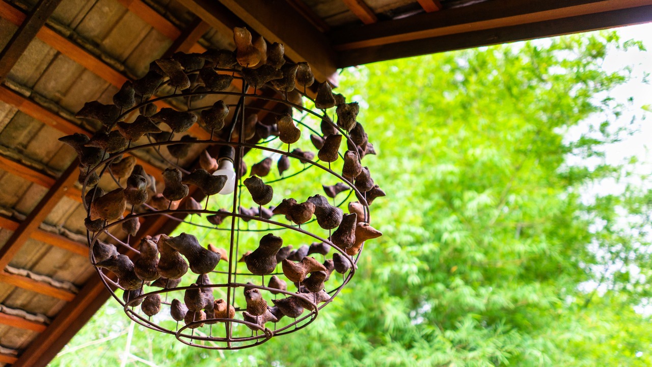 Photo of Outdoor in Hang Dong