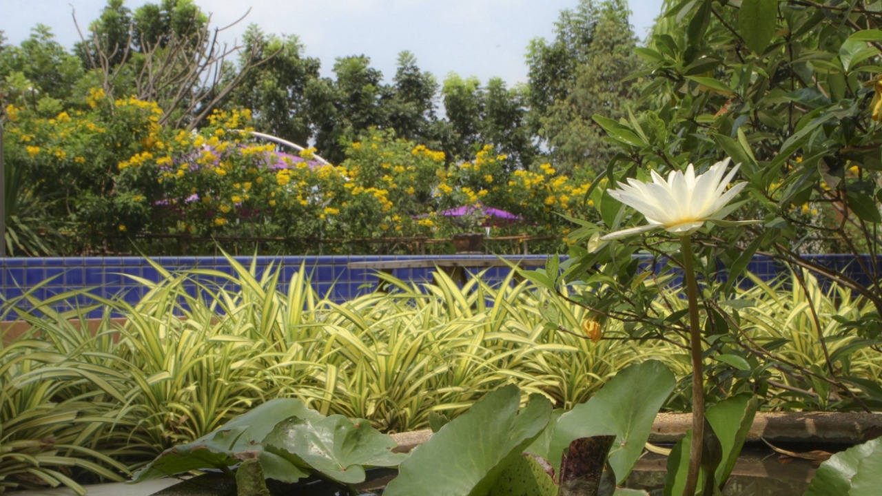 Photo of Outdoor in Saphan Sung