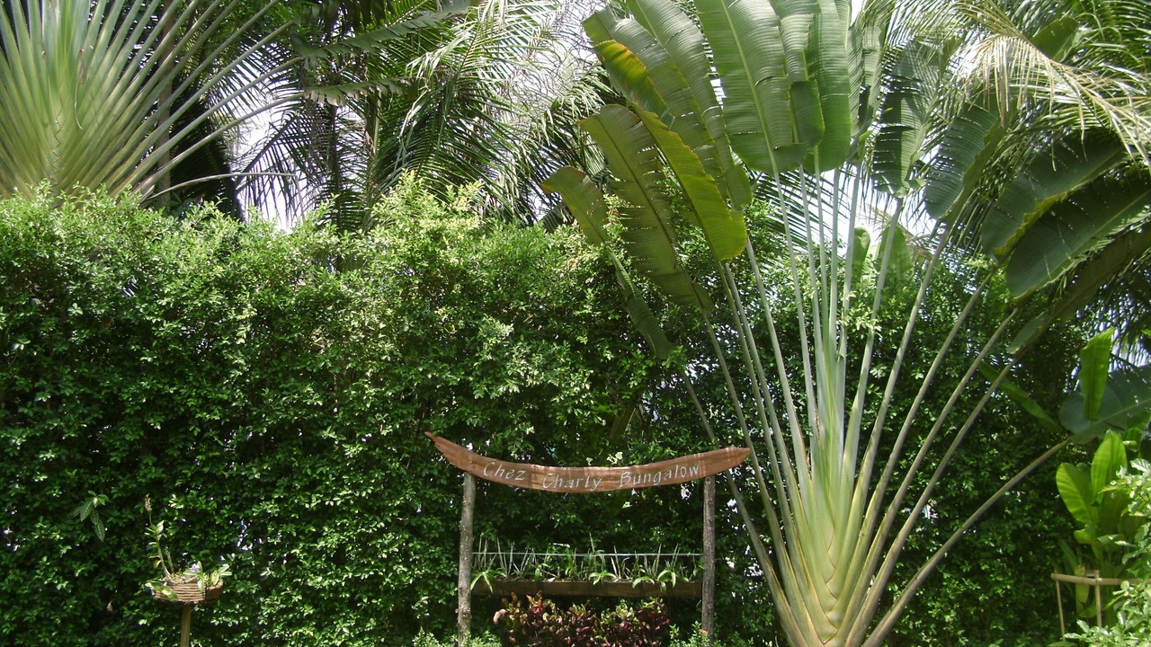 Photo of Outdoor in Sa Khu