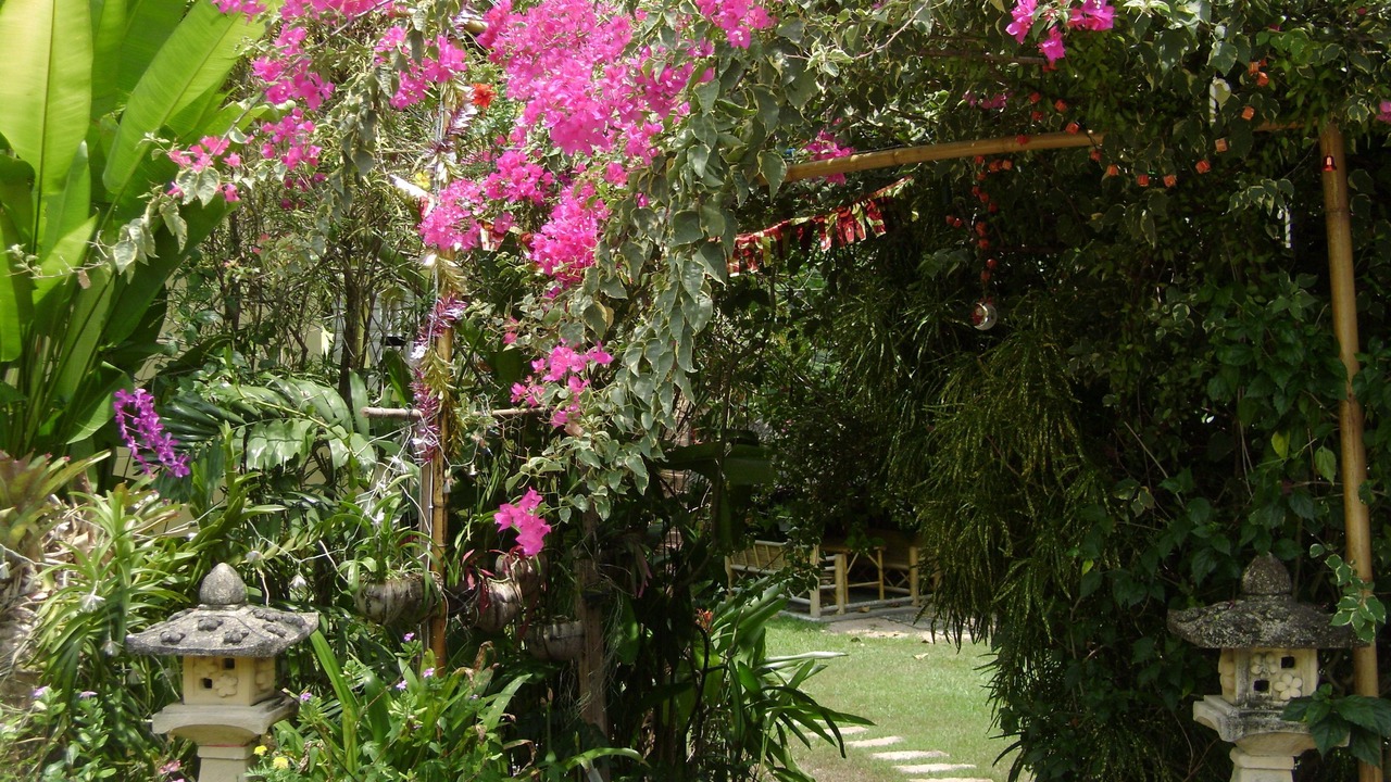 Photo of Outdoor in Sa Khu