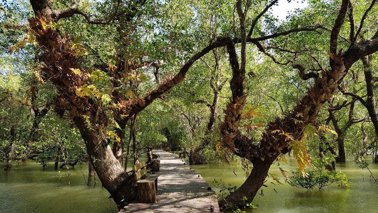 Photo of Outdoor in Trat